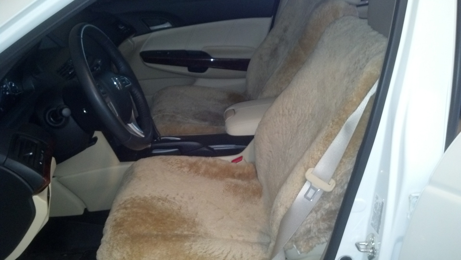 automobile6